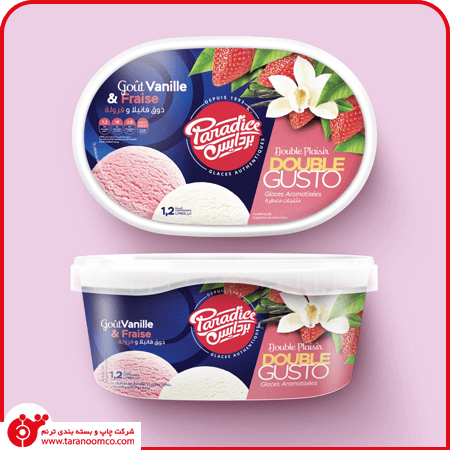 Ice Cream Design & Packaging